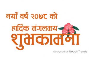Happy New Year Card