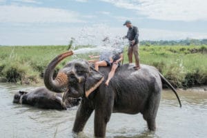 Chitwan - best places to visit in Nepal in summer