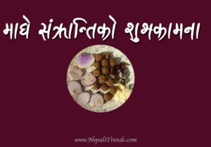 Maghe-Sankranti-2076