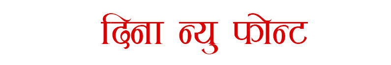 dina new font