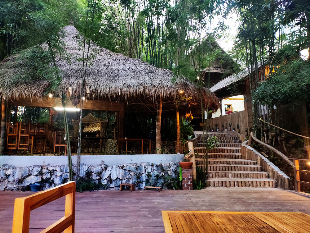 Bio Bamboo