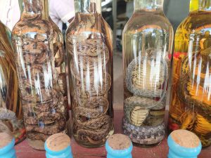 Snake whisky in Laos