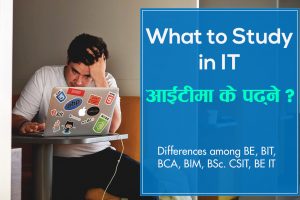 What to study in IT