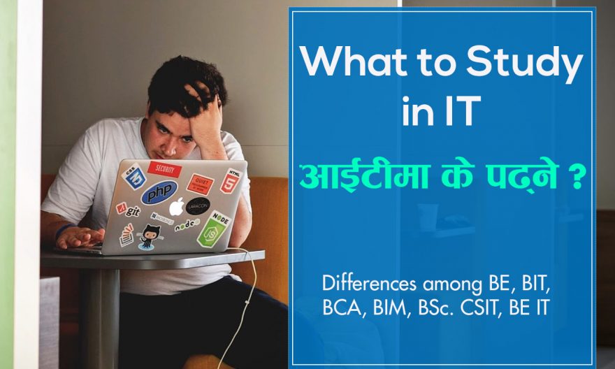 What to study in IT
