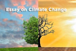 Climate Change essay