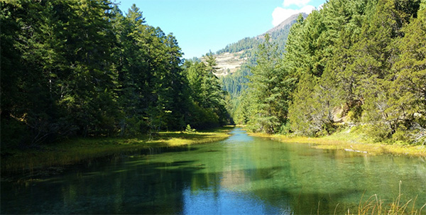 flora and Fauna of Nepal