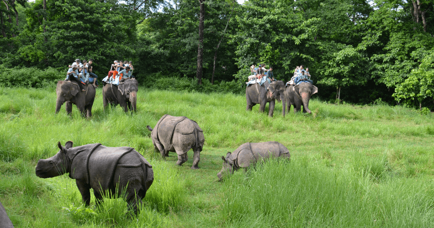 national park
