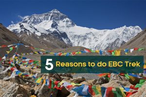 Everest Base Camp Trek