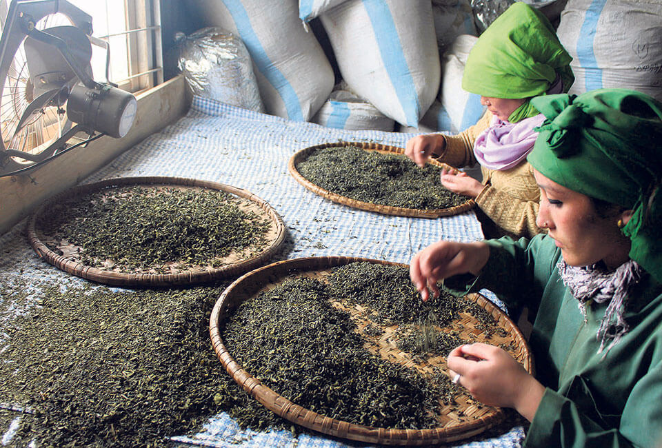 nepali tea