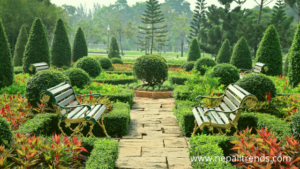 startup business ideas- Garden designer