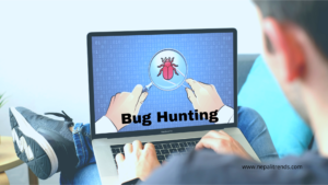 Bug bounty program in Nepal