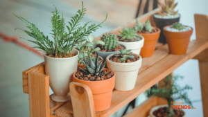Sustainable lifestyle