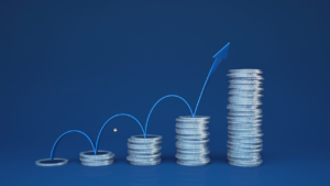 e-commerce business in Nepal is profitable