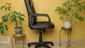 Add plants to office to increase productivity